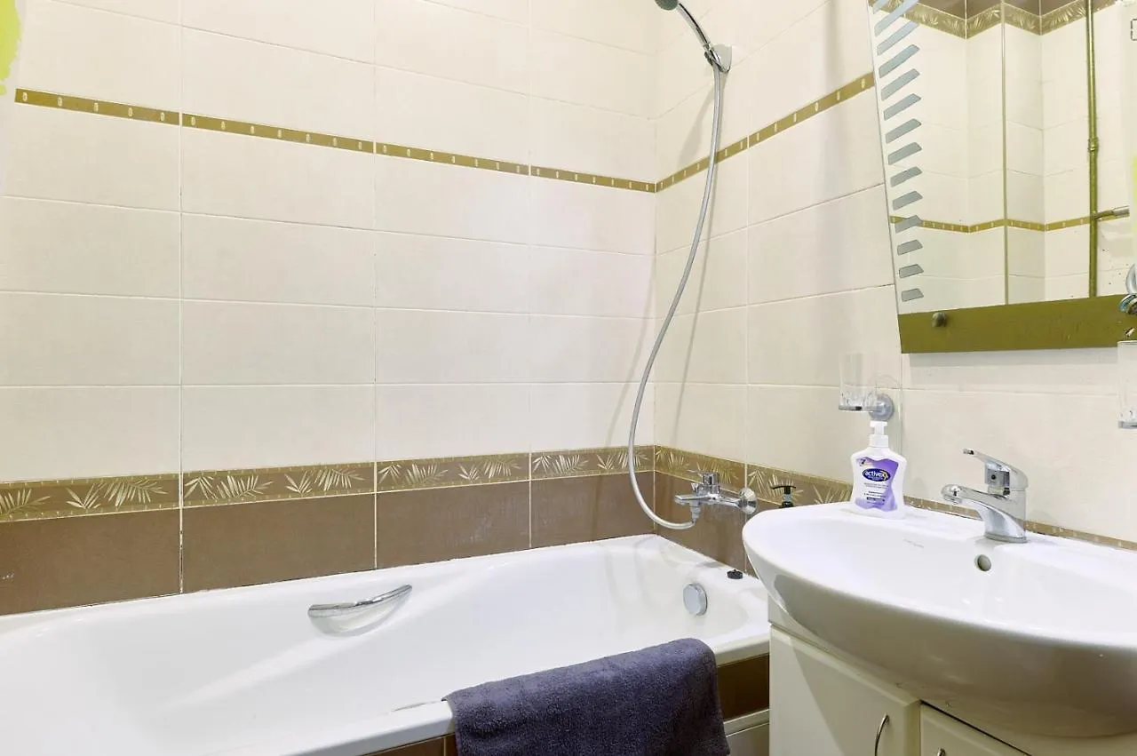 Apartments Basseyna Street The Center Of City -Three Separate Bedroom Kiev